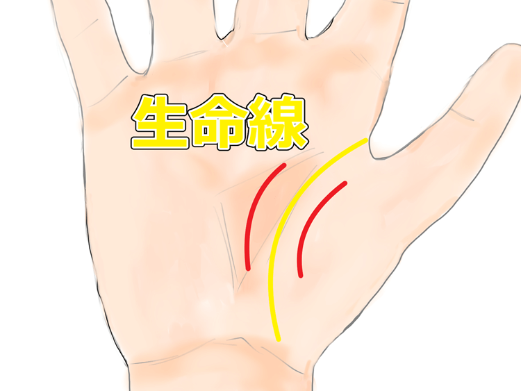 手相 基本線が2重だと効果が2倍 占い師 晴都のブログ 手相 基本線が2重だと効果が2倍 占い師 晴都のブログ